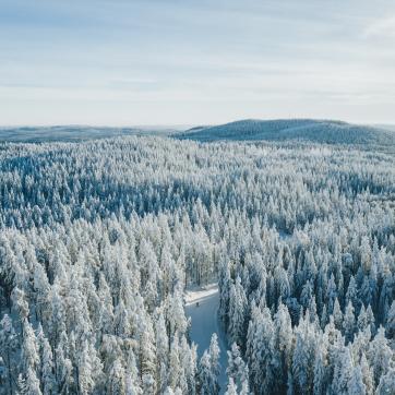 A view over winter landscape.