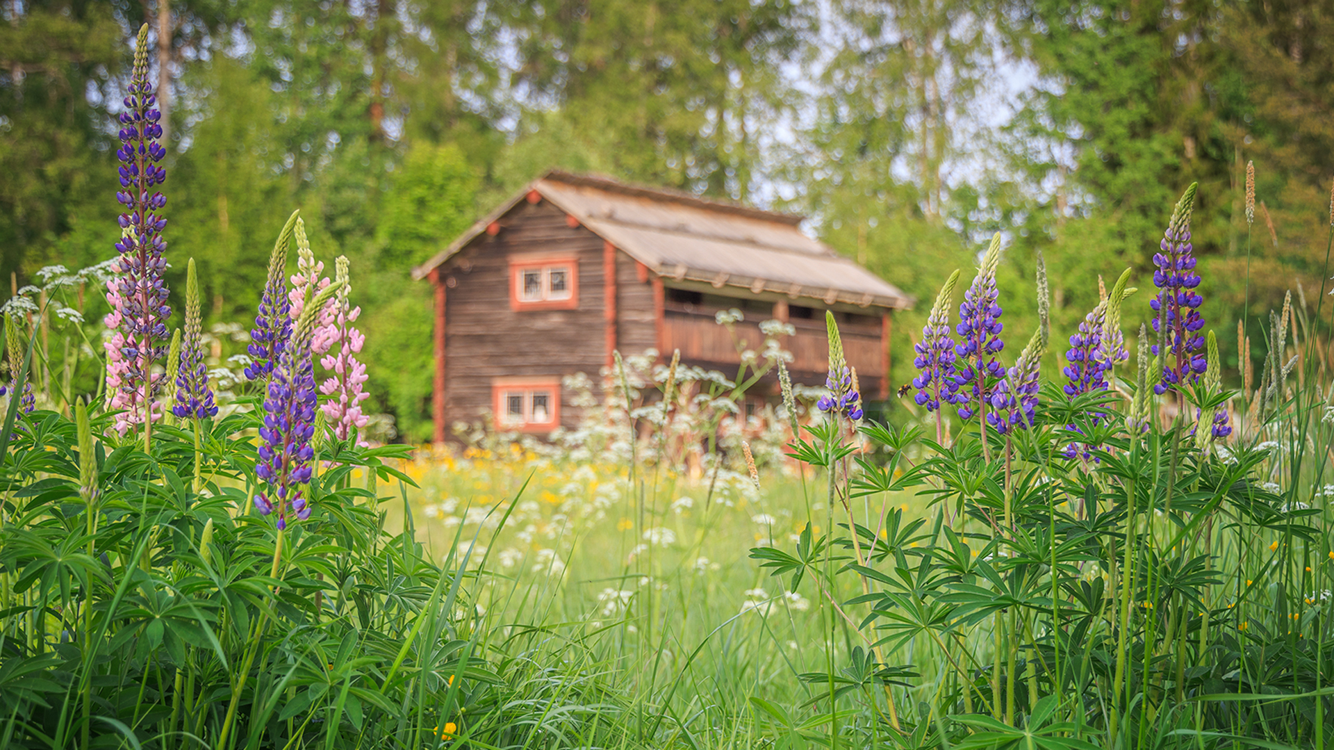 Summer in Dalarna | Visit Dalarna