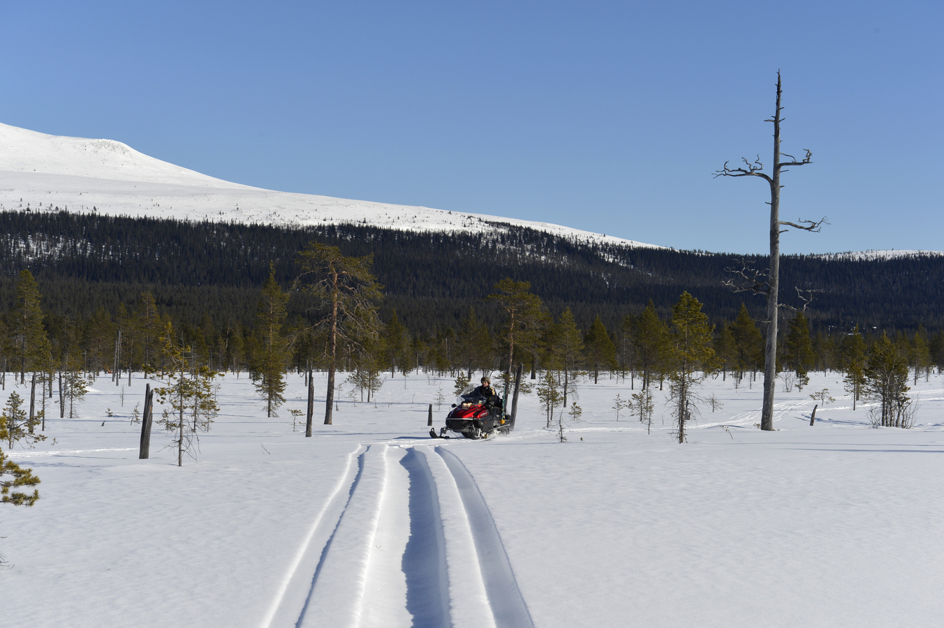 Snowmobiling in Idre | Visit Dalarna