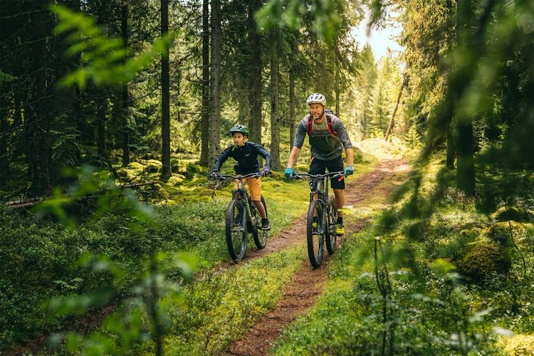 Man och barn som cyklar i skogen. 