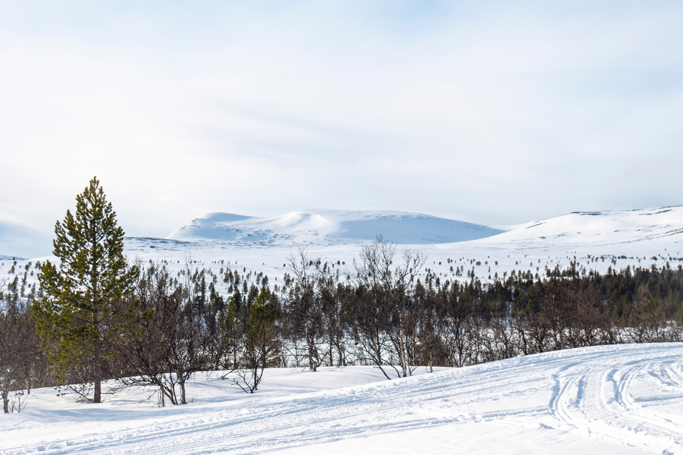 Fira jul och nyår i fjällen Hit ska du åka Visit Dalarna