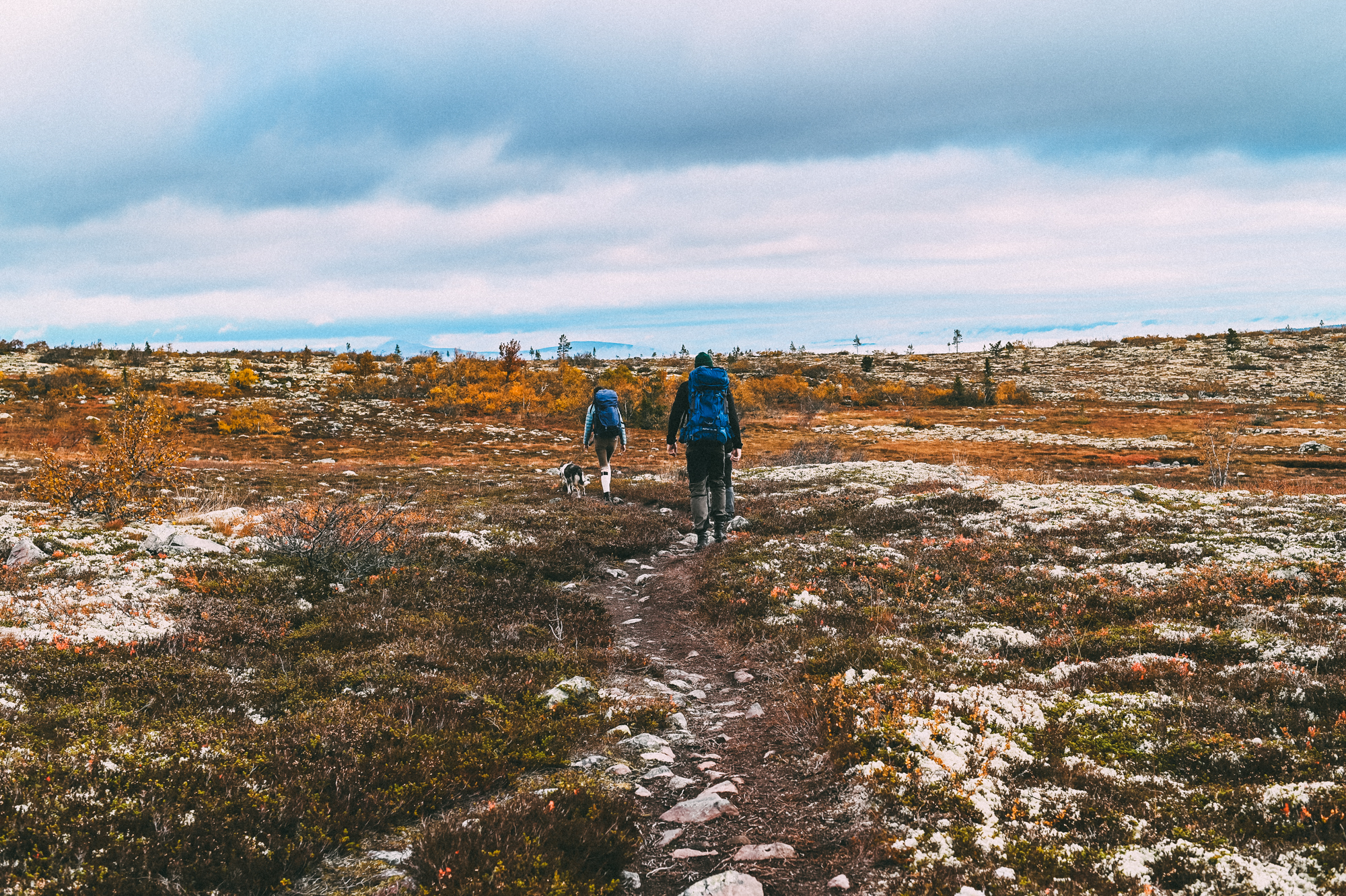 Fjällvandrare i Sälenfjällen.