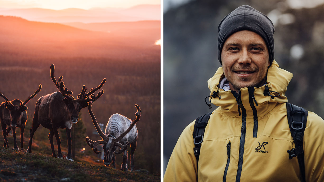 Bildkollage med en ren på fjället och porträttfoto på Alexander Neimert.