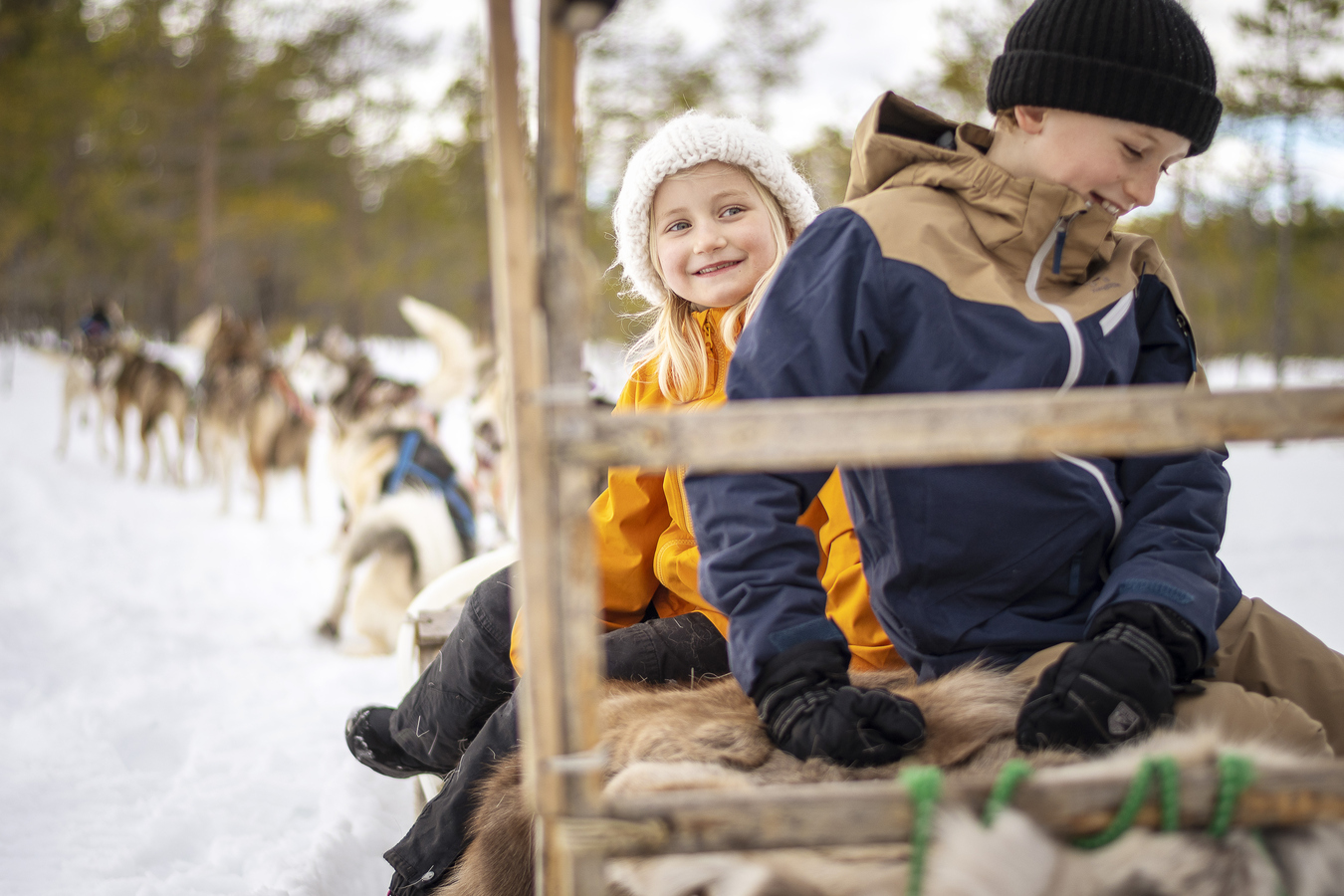 Barn som åker hundspann.
