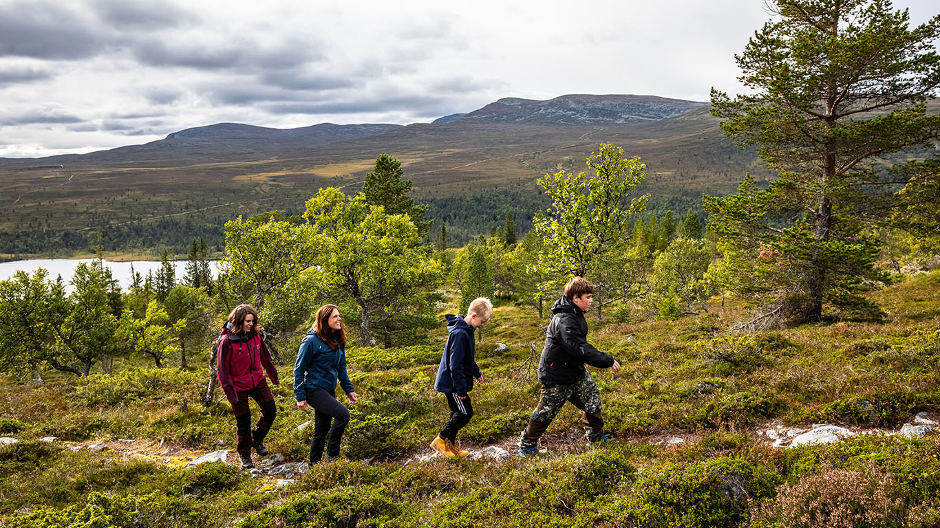 Fjällvandring i Grövelsjön och Grövelsjöfjällen.