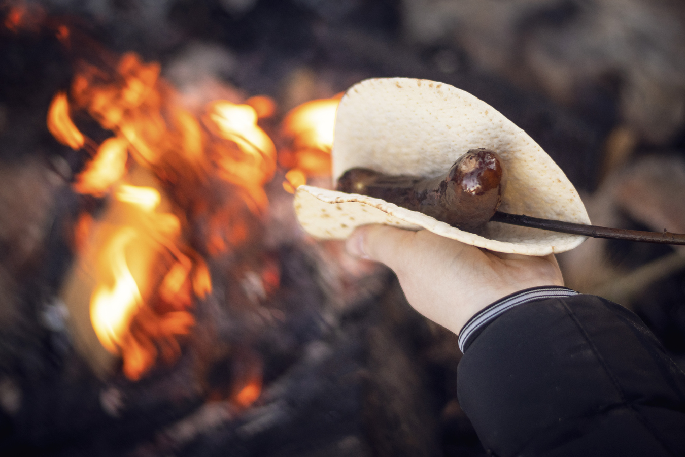 Grilla korv över öppen eld.