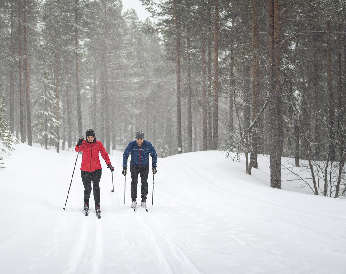 Två längdskidåkare i spåret.