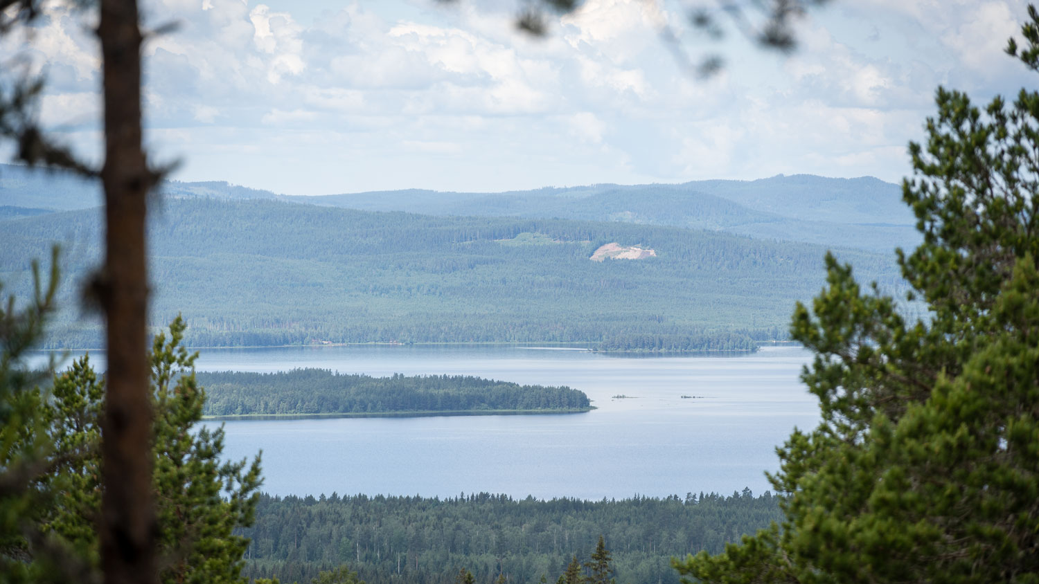 En Höjdare För Naturnyfikna Barn – Och Vuxna | Visit Dalarna