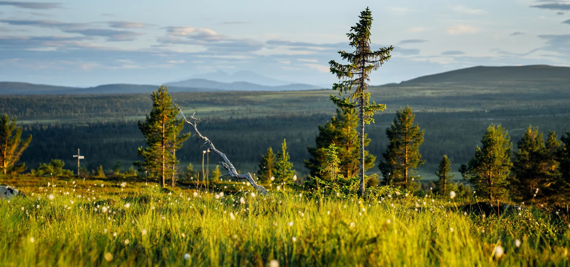 View over the mountains in Dalarna.