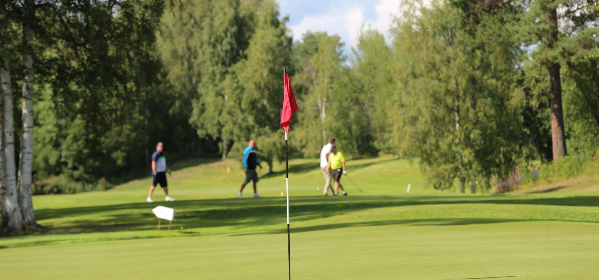 Det finns flera golfbanor att välja mellan för den som vill spela golf i Rättvik.
