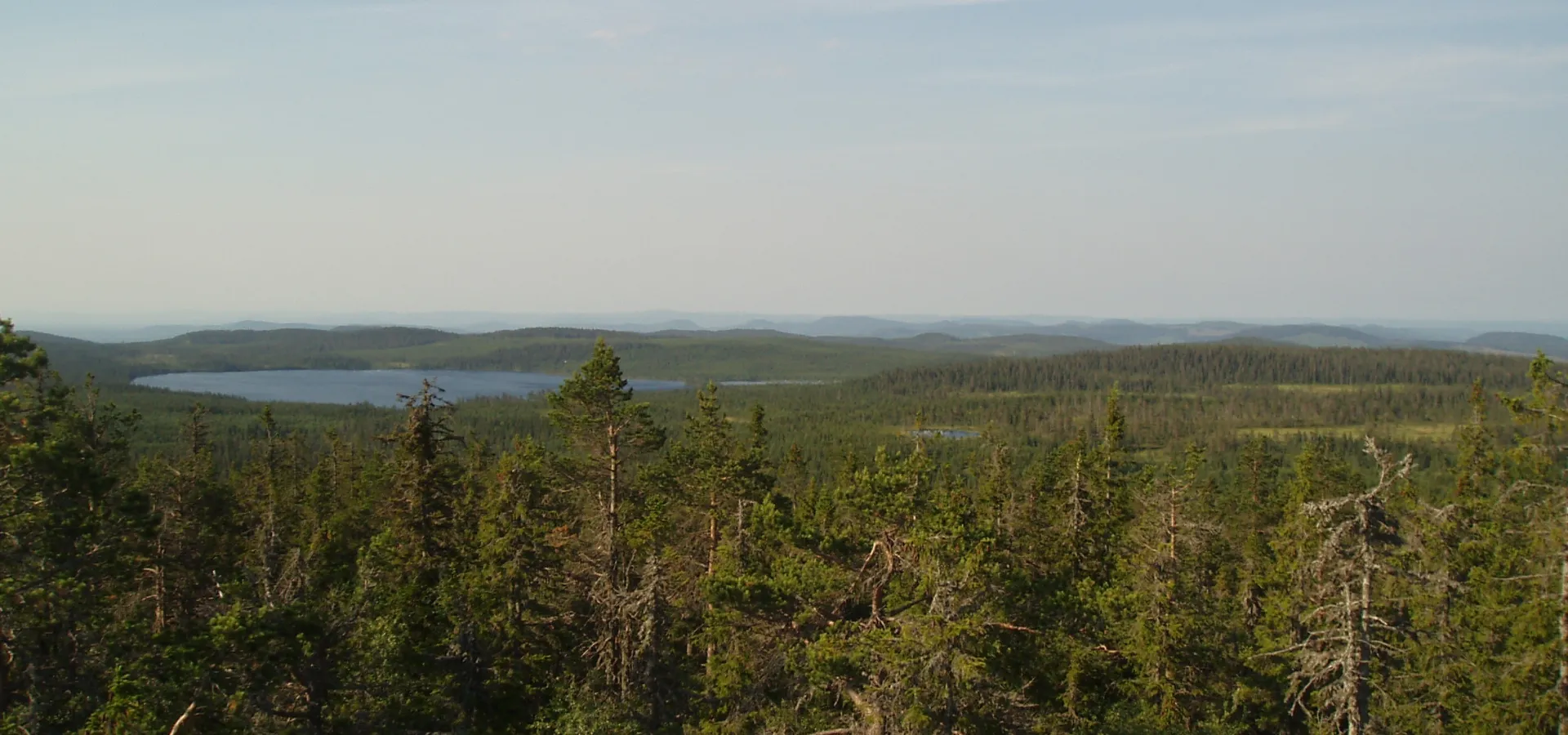 Vy över skog och en sjö i fjärran.