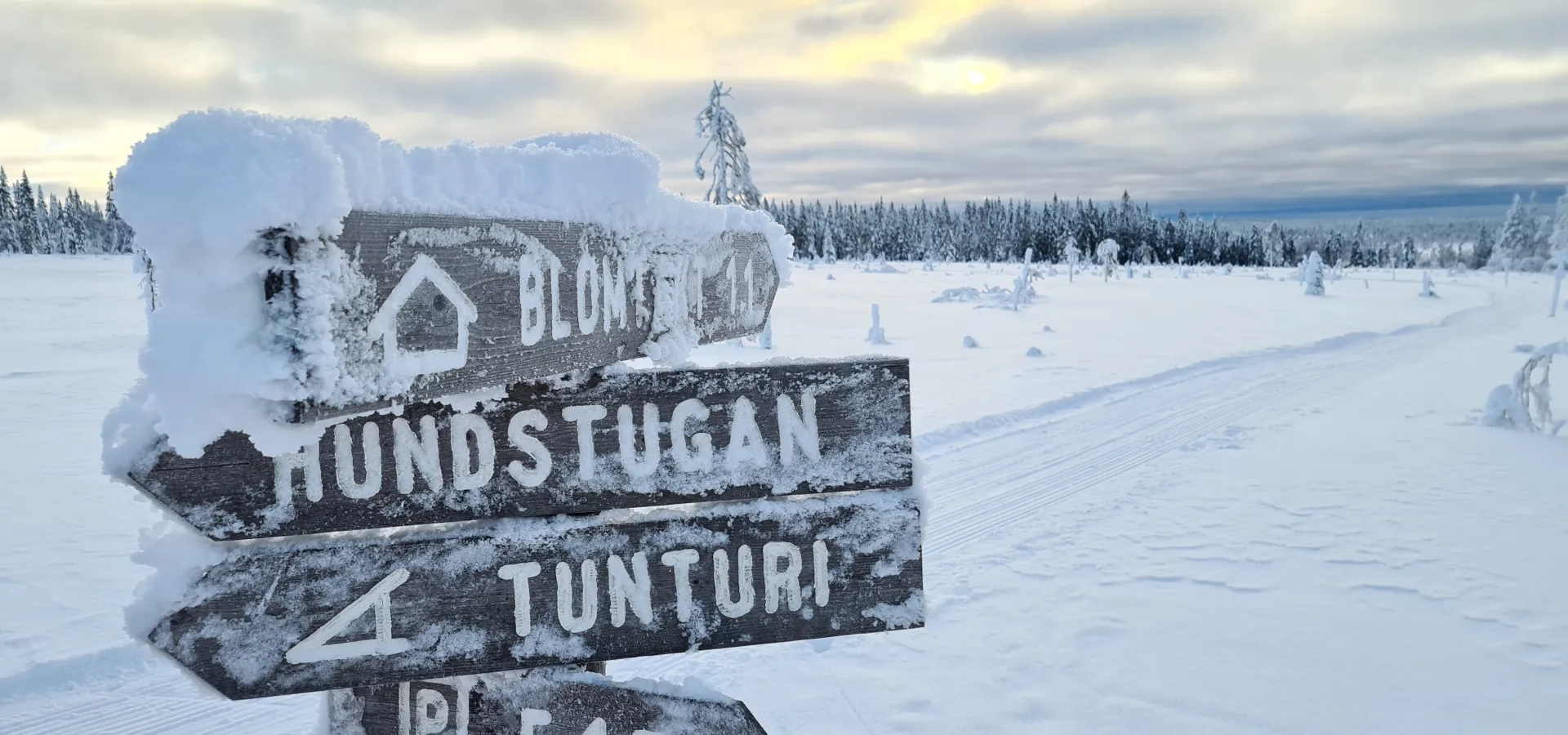 Snöiga träskyltar på Koppången i Orsa.