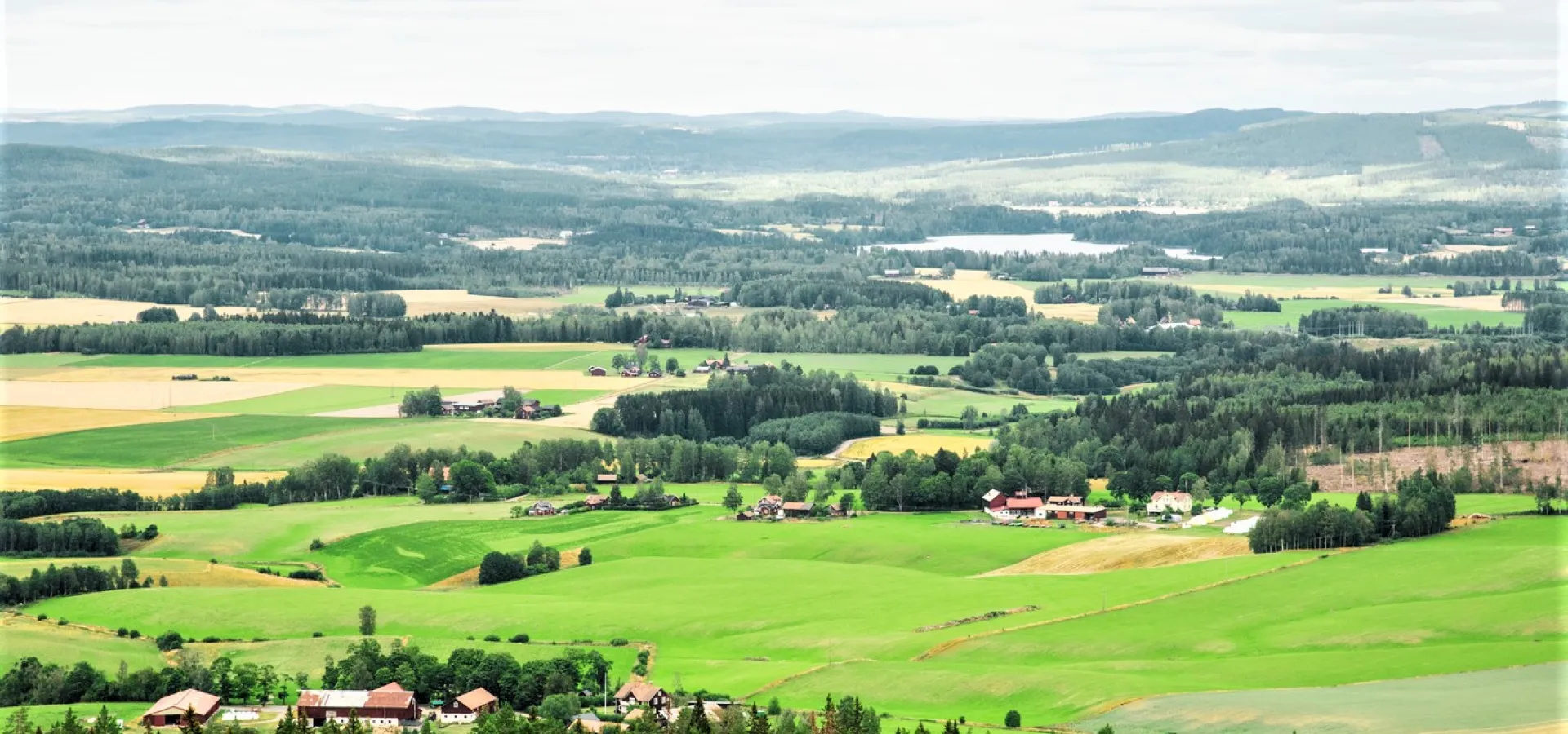 Vy över fin åkermark.