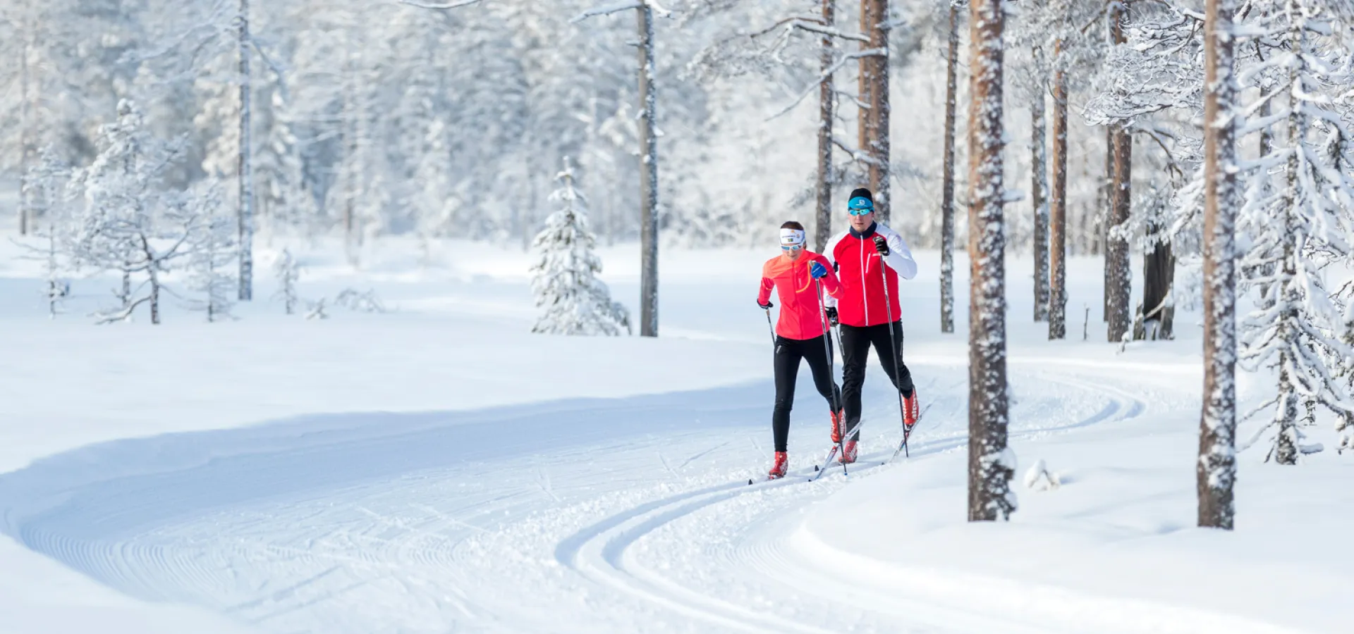 Två längdskidåkare i skidspår bland vintriga träd.