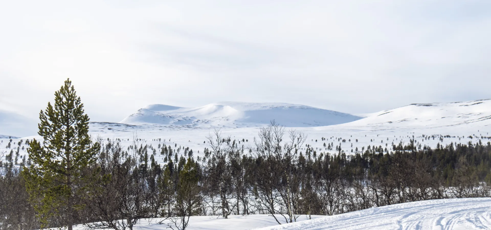 Ett vintrigt fjäll i Grövelsjön.