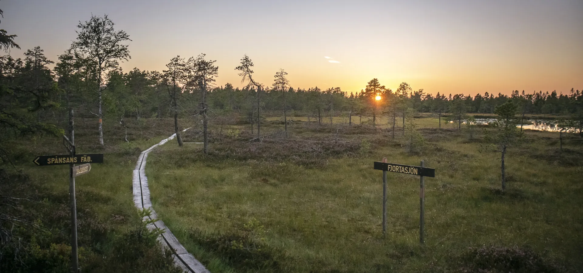 A hiking trail in the sunset.