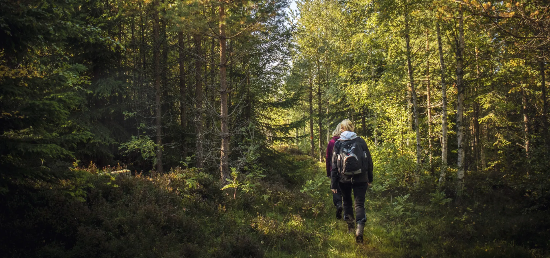 Tjej som vandrar längs en skogsled.