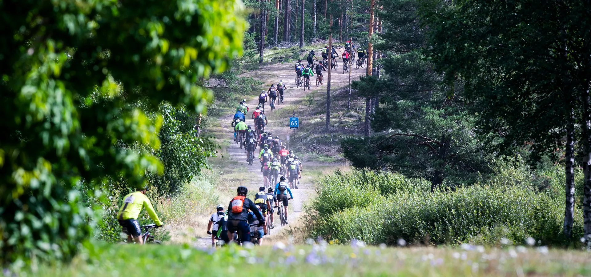 En stor grupp cyklister på en grusväg genom skogen.