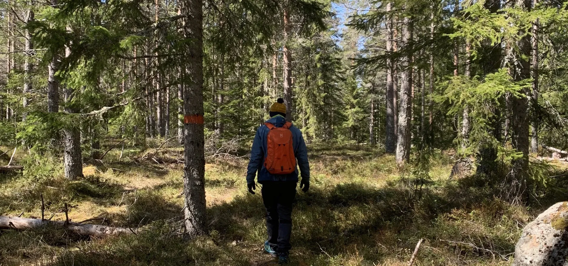 Vandrare på led vid Venjan.