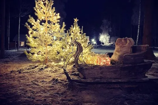 Julgran i snö.