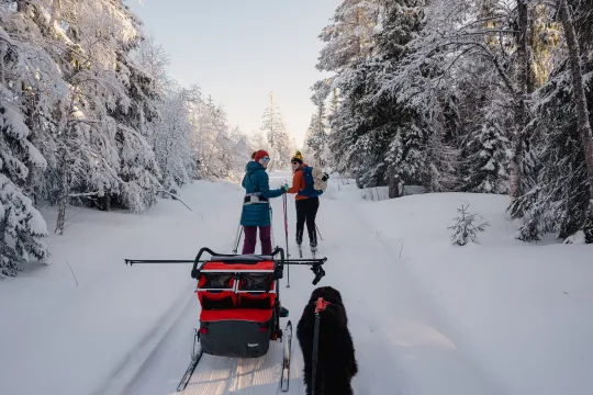 Två personer som åker längd.