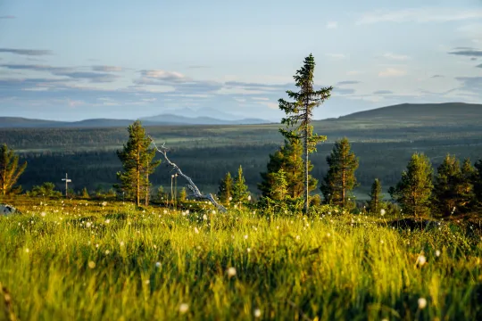 View over the mountains in Dalarna.