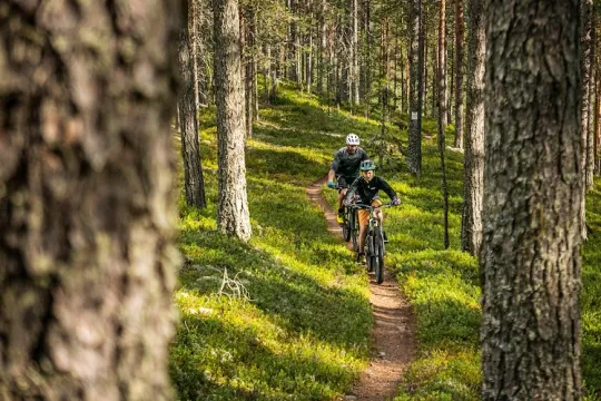 Två personer som cyklar på en skogsstig.