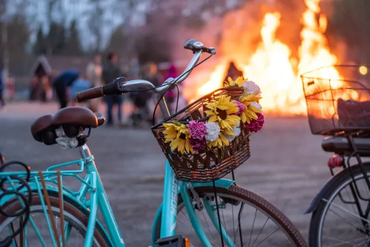 En cykel med korg med blommor i vid en majbrasa.