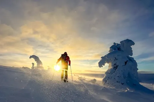 Kille som skidar i fjällmiljö.