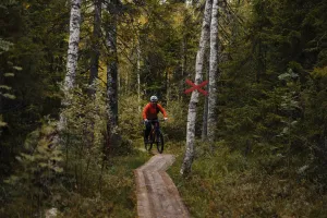 Cyklist i skog på en spång