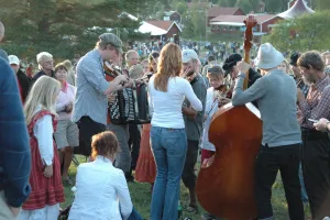 Folkmassa på Bingsjöstämman.