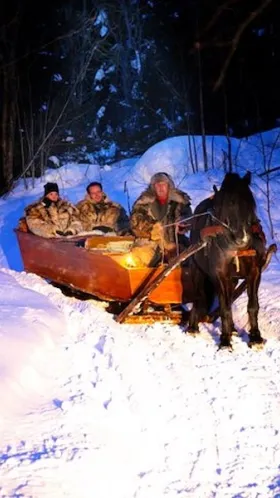 Häst och släde i vintermörkret