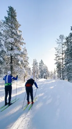 Två personer som åker längskidor.