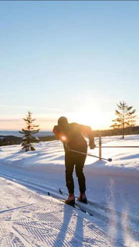 Skidåkare i solnedgång.