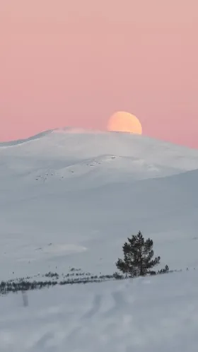 Grövelsjöfjällen.