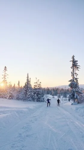 Två skidåkare i längdspåret.