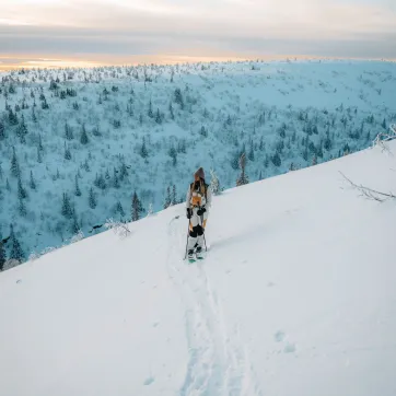A woman on ski's out in the nature.
