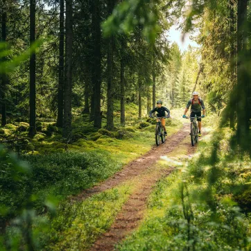 Two people cycling along a forest trail.