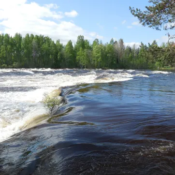 High flow in the river.