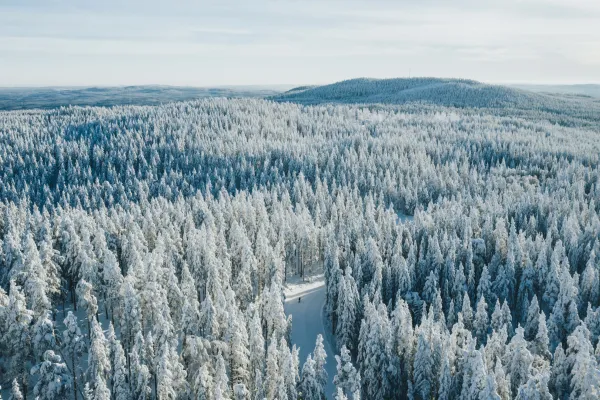 Vintrigt landskap över Dalarna.