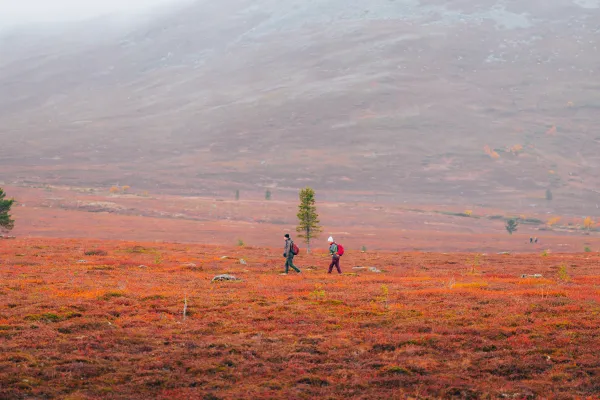 Två vandrare på ett fjäll omgiven av höstfärger