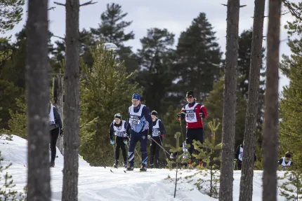 Skidåkare i skogen.