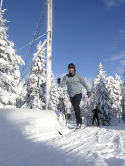Skiers in a winter landscape.