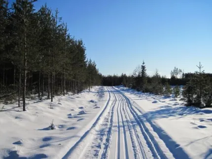 Cross country trails.