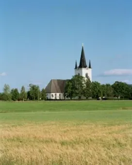 Vetefält i framkant på bilden, den vita kyrkan mot en blå himmel.