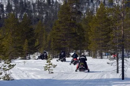 Five people driving snowmobiles in the forrest 