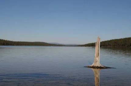 Wooden statue in a lake