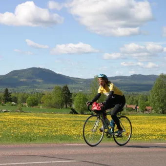 Cyklist framför en gul sommaräng.