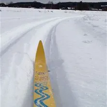 Spetsen av en gul längdskida i ett skidspår.
