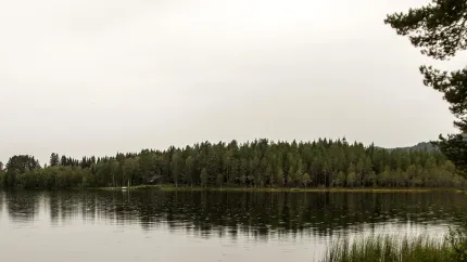 Lake Långtjärn and trees